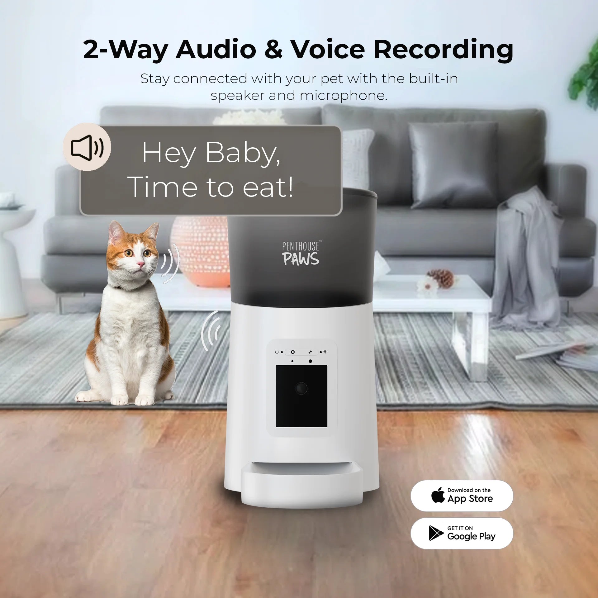 Smart Pet Feeder with HD Camera & 2-Way Audio (6L, App Control)