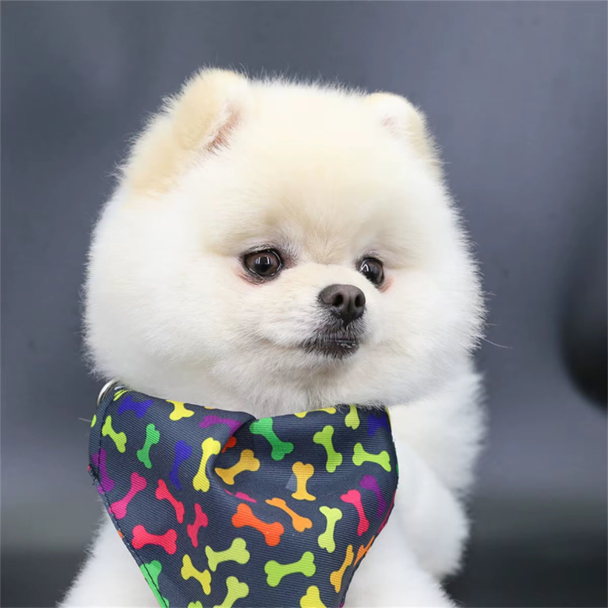 Adorable Cartoon Bear Dog Scarf - Perfect for Small Dogs and Cats! Keep Your Pet Stylish and Clean!