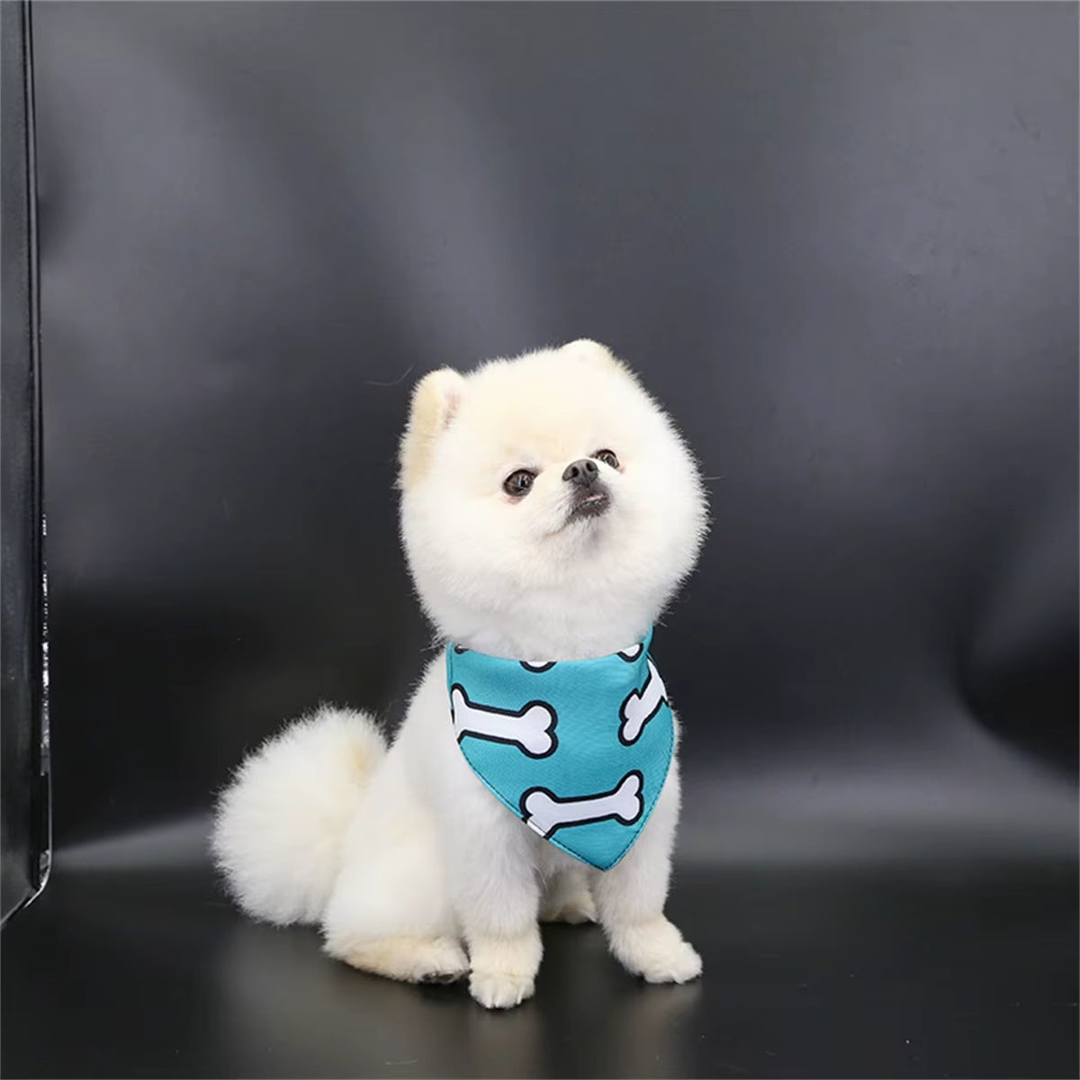 Adorable Cartoon Bear Dog Scarf - Perfect for Small Dogs and Cats! Keep Your Pet Stylish and Clean!