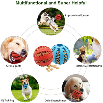 Bouncing Fun: The Ultimate Chew Toy for Small Dogs - Tooth Cleaning Rubber Ball for Playtime and Snacks!
