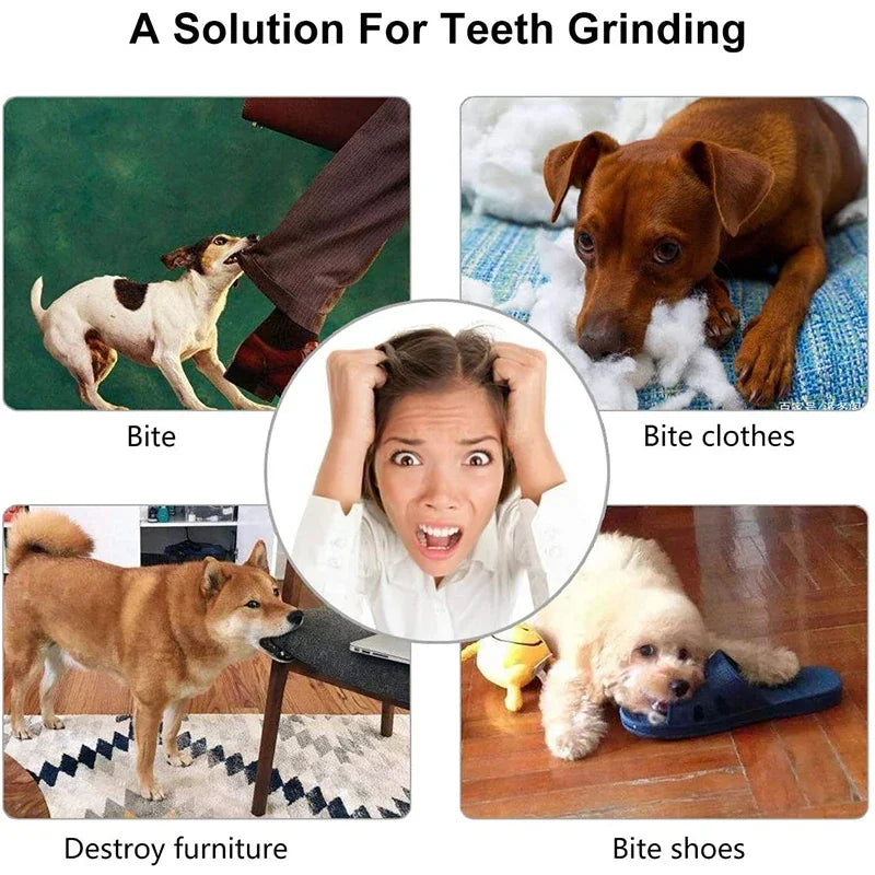Bouncing Fun: The Ultimate Chew Toy for Small Dogs - Tooth Cleaning Rubber Ball for Playtime and Snacks!