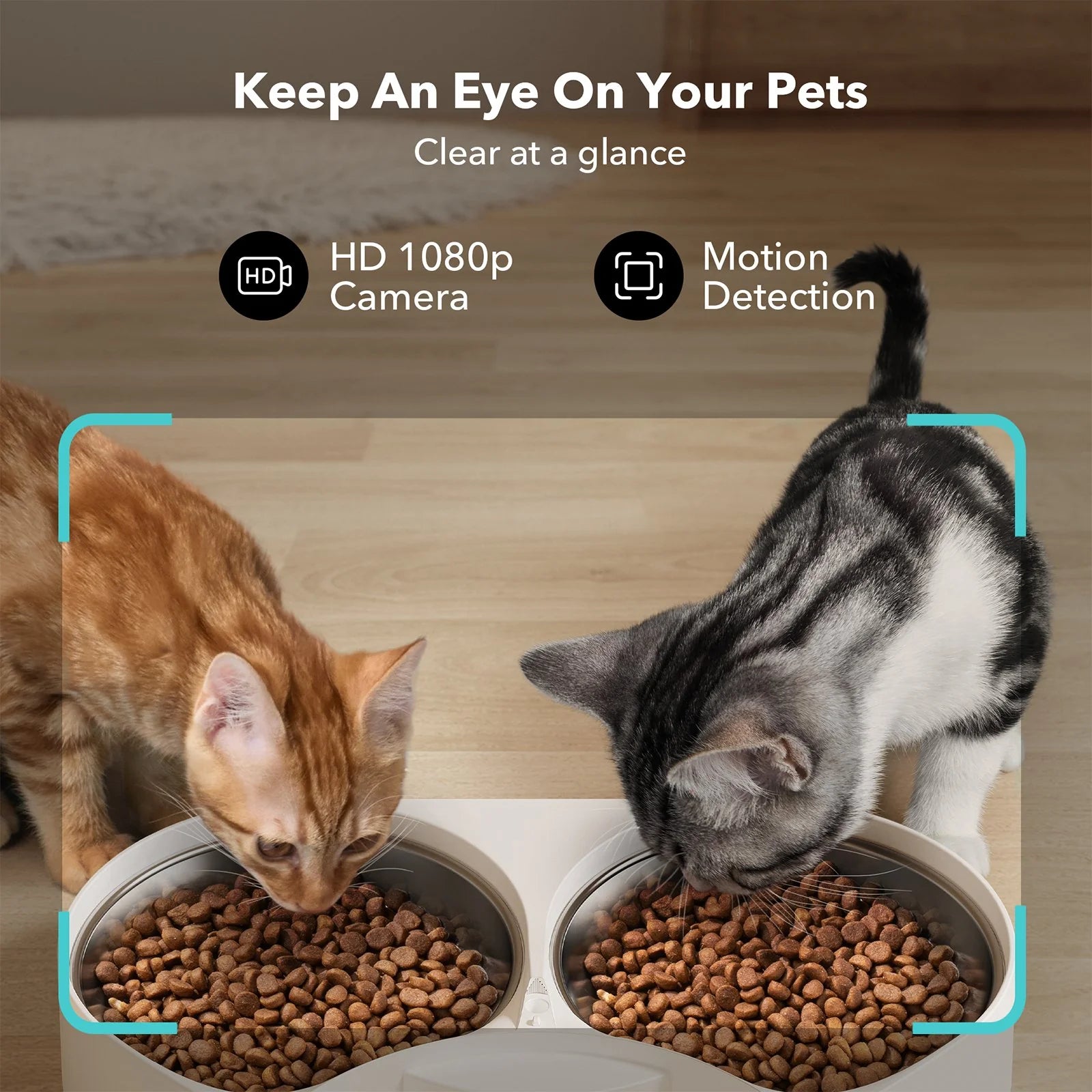 Smart Pet Feeder with 1080p Camera & 2-Way Audio (Dual Bowl, App Control)